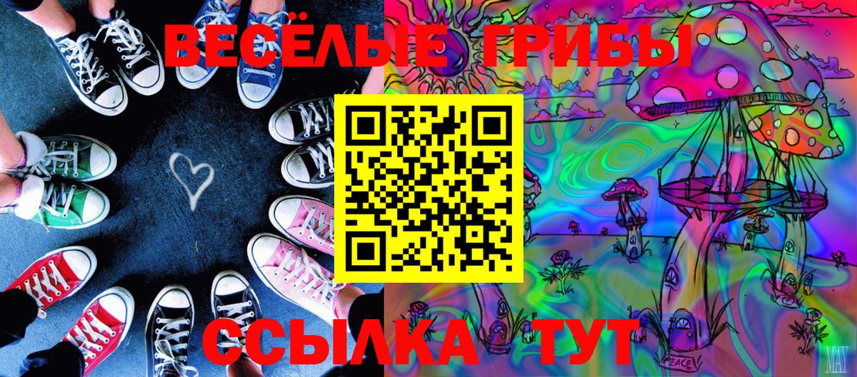 цены наркотик  Галлюциногенные грибы мицелий  Вход с VPN  Курчатов  Псилоцибиновые грибы мицелий 
