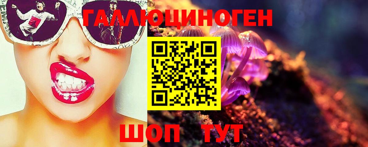 Галлюциногенные грибы Psilocybe Курчатов