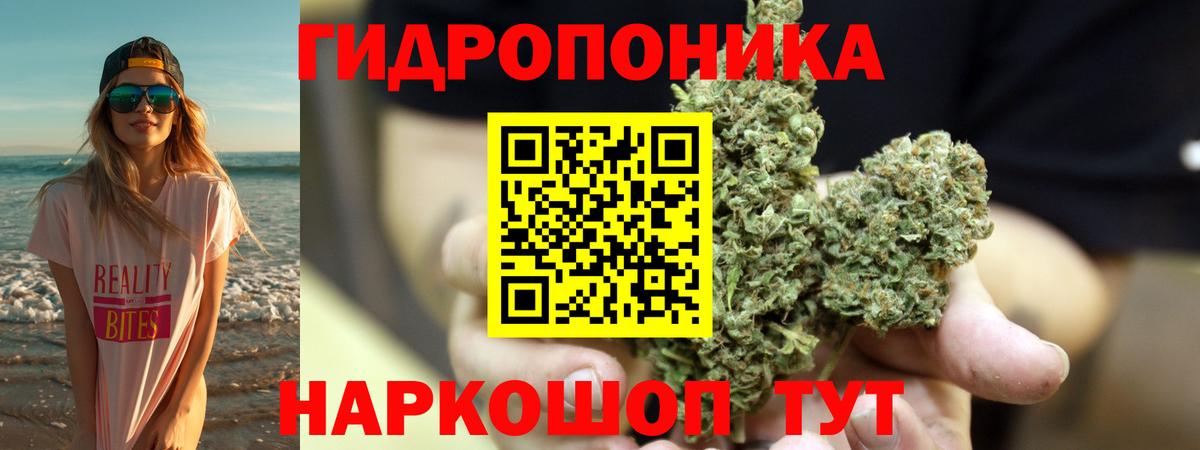 Конопля план  Вход с VPN  Бошки Шишки семена  Бошки марихуана White Widow  Шишки марихуана план  Курчатов 